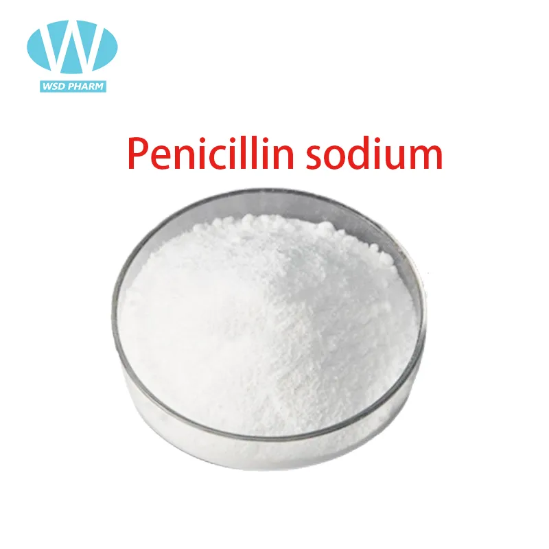 Natr penicilin